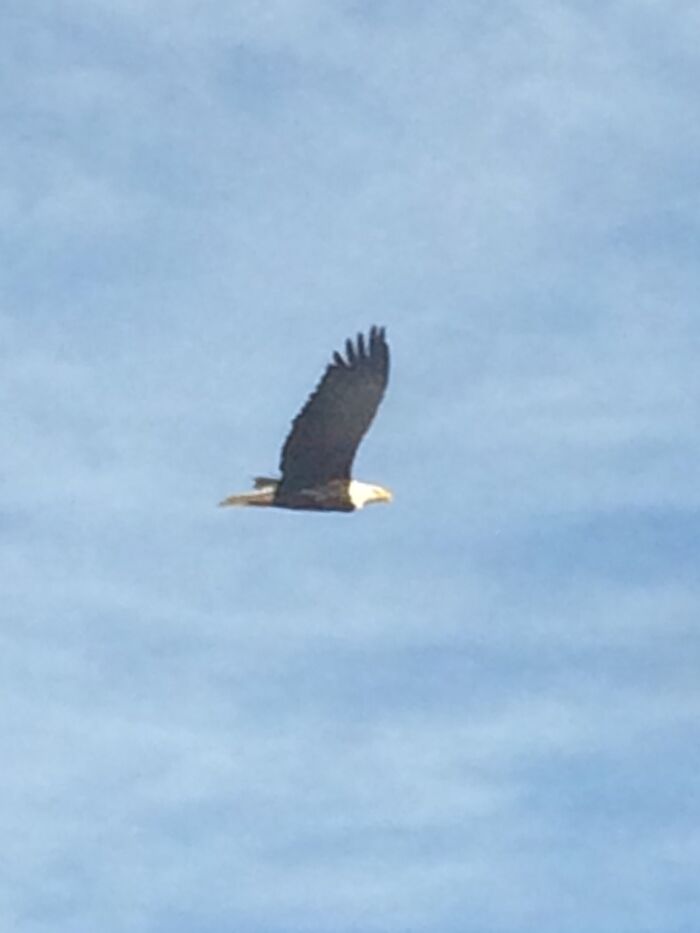 Pandas, What Picture (Taken On Your Phone) Are You Most Proud Of? (Closed) Pandas, What Picture (Taken On Your Phone) Are You Most Proud Of? (Closed)