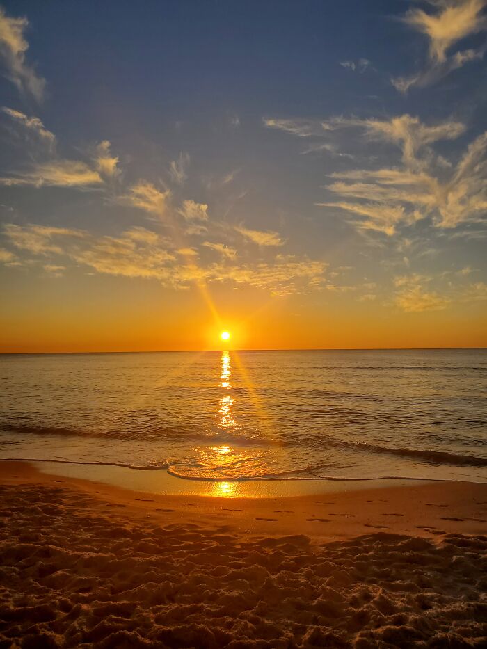 Pandas, What Picture (Taken On Your Phone) Are You Most Proud Of? (Closed) Pandas, What Picture (Taken On Your Phone) Are You Most Proud Of? (Closed)