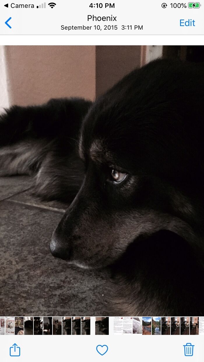 Pandas, What Picture (Taken On Your Phone) Are You Most Proud Of? (Closed) Pandas, What Picture (Taken On Your Phone) Are You Most Proud Of? (Closed)