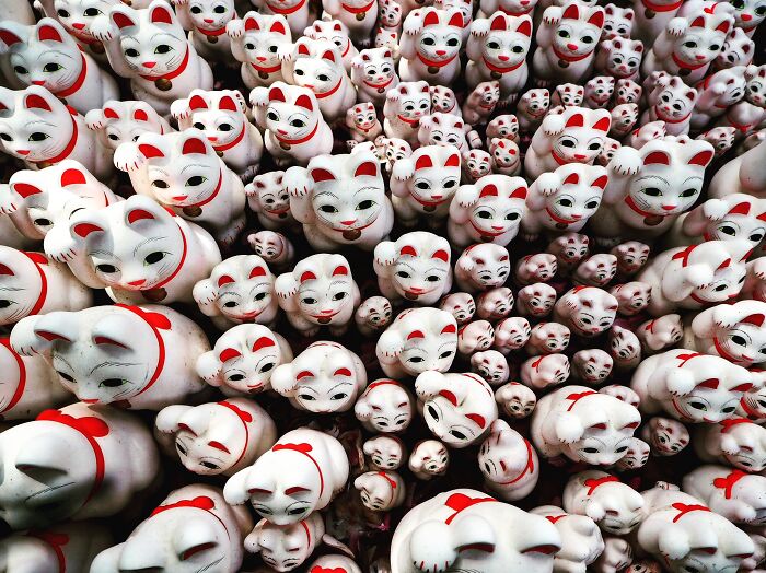 Pandas, What Picture (Taken On Your Phone) Are You Most Proud Of? (Closed) Pandas, What Picture (Taken On Your Phone) Are You Most Proud Of? (Closed)