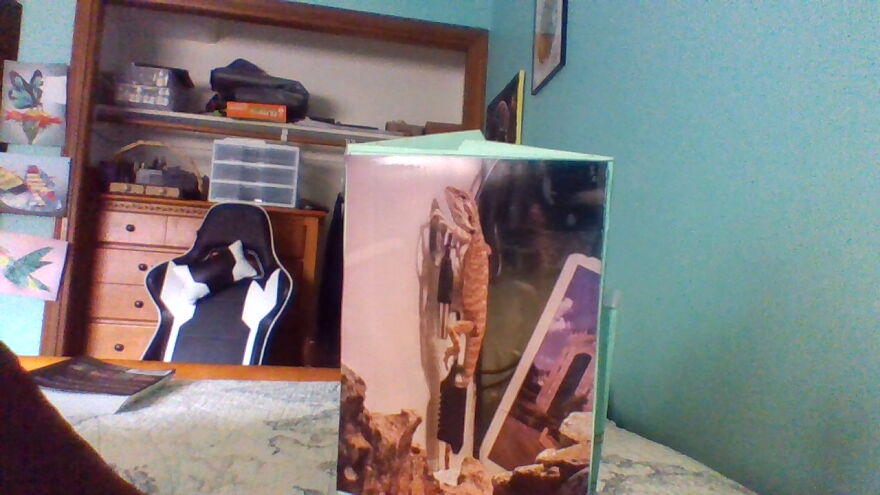 Hey Pandas, Post The Weirdest Picture Of Your Animal (Closed) Hey Pandas, Post The Weirdest Picture Of Your Animal (Closed)