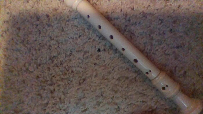 Hey Pandas, Post A Picture Of Your Instrument (Closed)