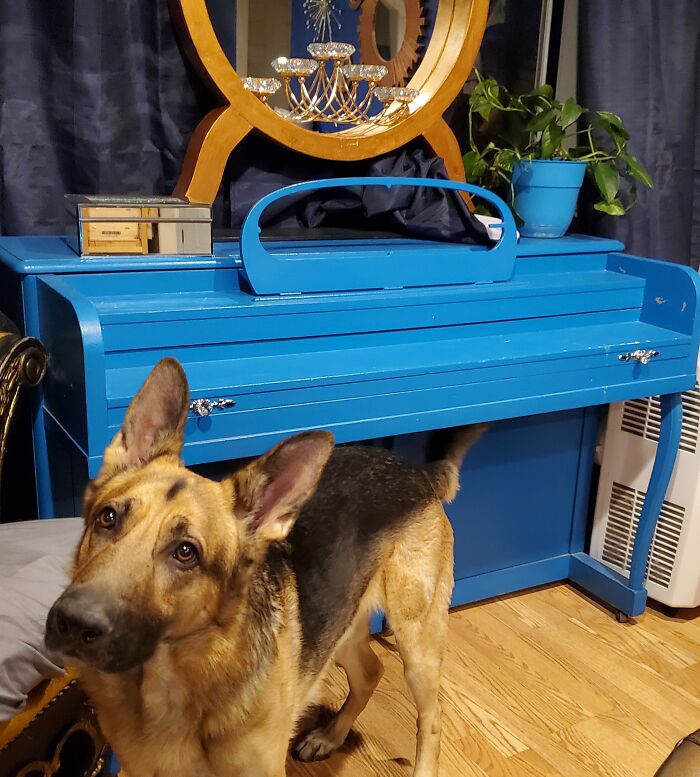 Hey Pandas, Post A Picture Of Your Instrument (Closed)