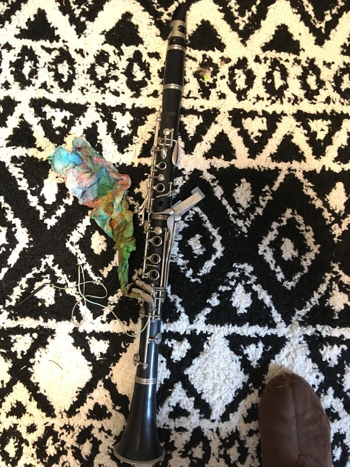 Hey Pandas, Post A Picture Of Your Instrument (Closed)