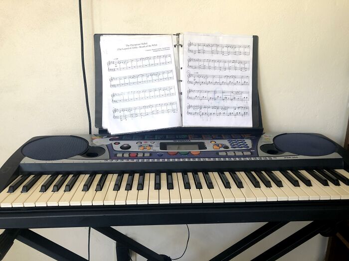 Hey Pandas, Post A Picture Of Your Instrument (Closed)