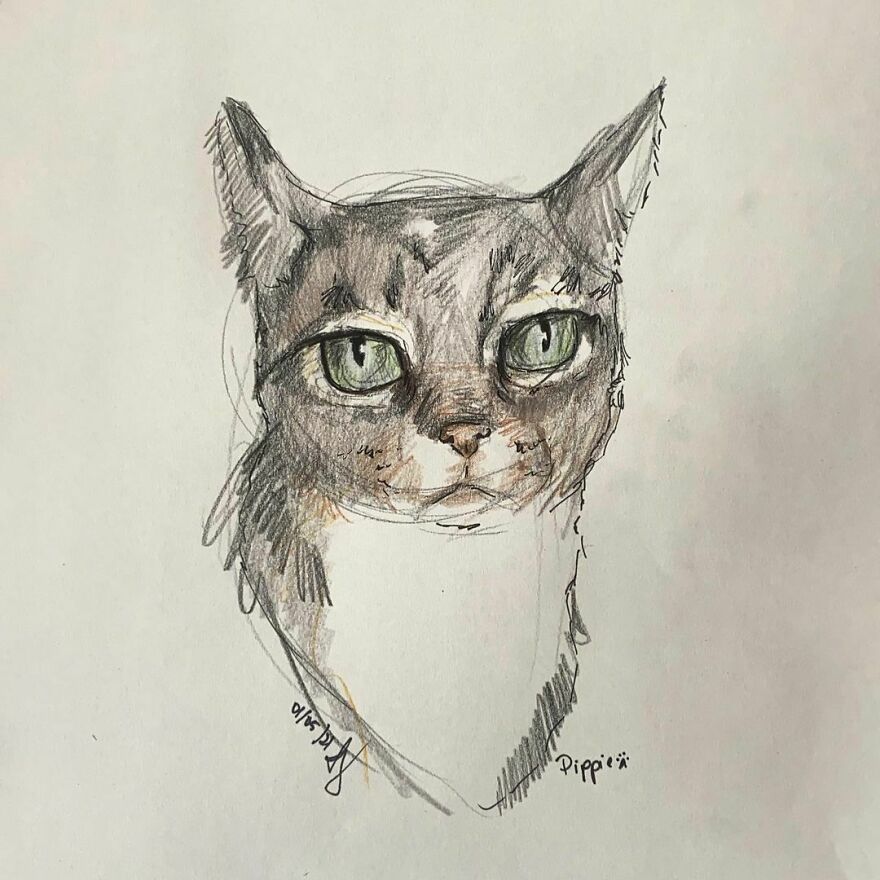 I Draw Pet Portraits On Request And Then Donate The Received Funds To Charity (70 Pics) I Draw Pet Portraits On Request And Then Donate The Received Funds To Charity (70 Pics)