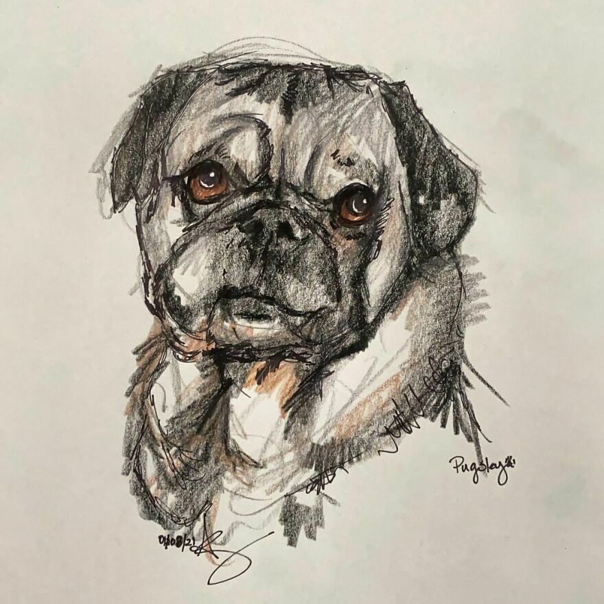 I Draw Pet Portraits On Request And Then Donate The Received Funds To Charity (70 Pics) I Draw Pet Portraits On Request And Then Donate The Received Funds To Charity (70 Pics)