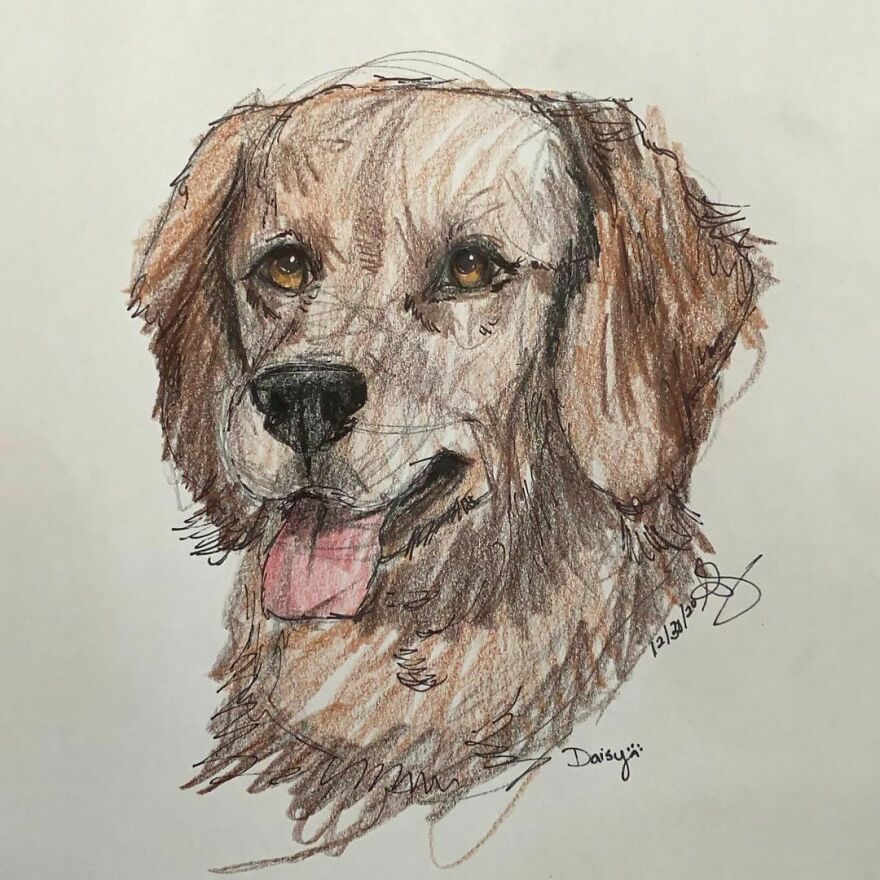 I Draw Pet Portraits On Request And Then Donate The Received Funds To Charity (70 Pics) I Draw Pet Portraits On Request And Then Donate The Received Funds To Charity (70 Pics)