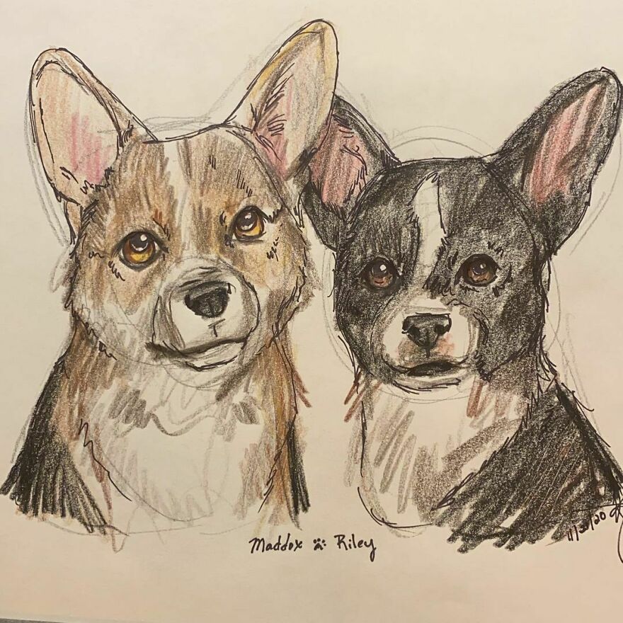 I Draw Pet Portraits On Request And Then Donate The Received Funds To Charity (70 Pics) I Draw Pet Portraits On Request And Then Donate The Received Funds To Charity (70 Pics)