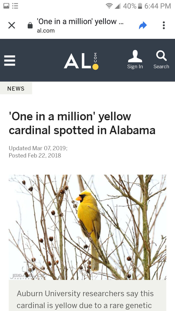 50 Times People Spotted Things In Very Unusual Colors And Just Had To Document It For Everyone To See 50 Times People Spotted Things In Very Unusual Colors And Just Had To Document It For Everyone To See