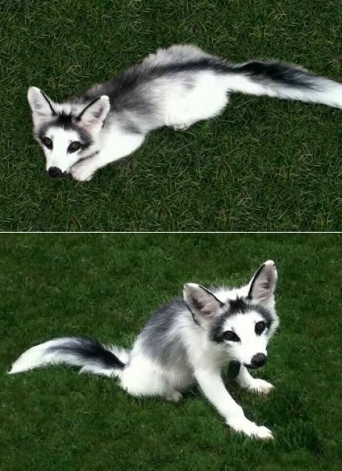 50 Times People Spotted Things In Very Unusual Colors And Just Had To Document It For Everyone To See 50 Times People Spotted Things In Very Unusual Colors And Just Had To Document It For Everyone To See