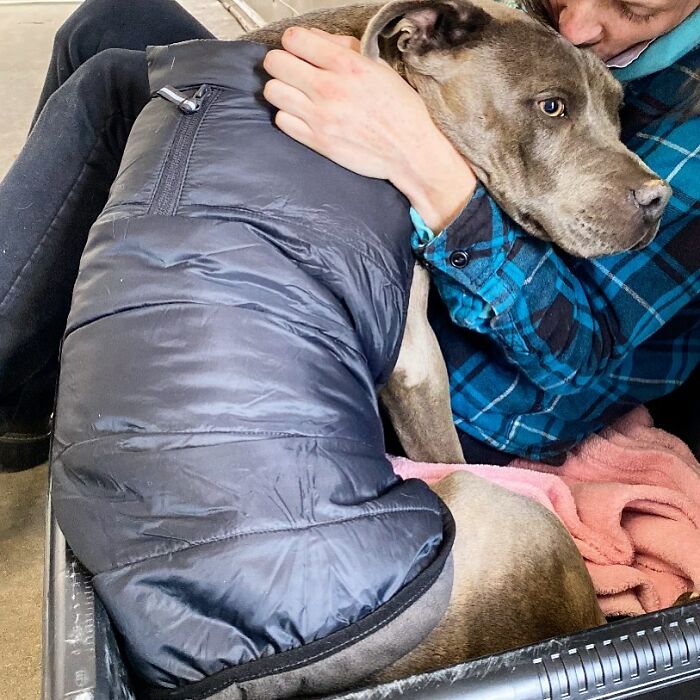 Actor Jonah Hill Expresses His Joy After Adopting A 3-Year-Old Doggy, Gets Praised by 336K People On Instagram