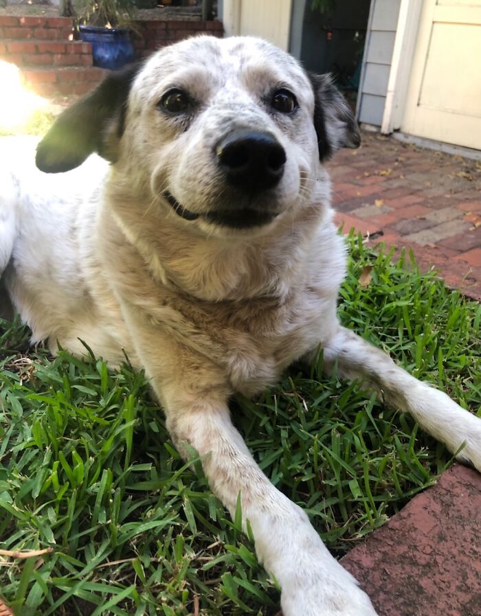 Hey Pandas, Share A Picture That Shows Pure Happiness (Closed) Hey Pandas, Share A Picture That Shows Pure Happiness (Closed)