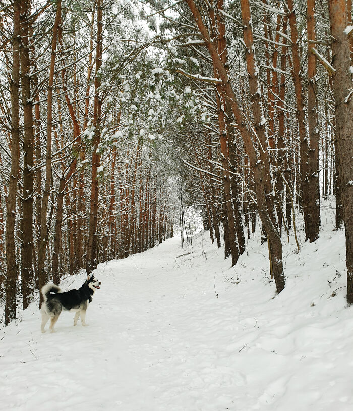 Hey Pandas, Share A Picture That Shows Pure Happiness (Closed) Hey Pandas, Share A Picture That Shows Pure Happiness (Closed)