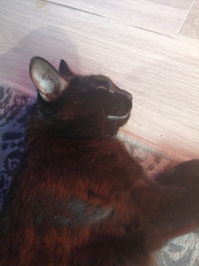 Hey Pandas, Share A Picture That Shows Pure Happiness (Closed) Hey Pandas, Share A Picture That Shows Pure Happiness (Closed)