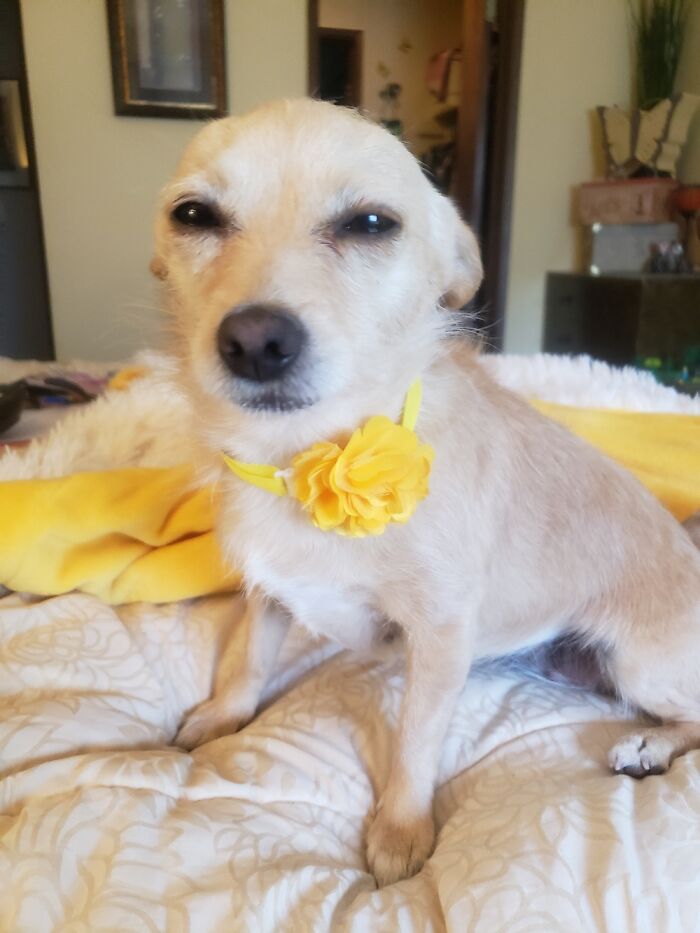 Hey Pandas, Share A Picture That Shows Pure Happiness (Closed) Hey Pandas, Share A Picture That Shows Pure Happiness (Closed)