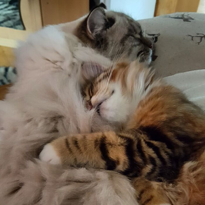 Hey Pandas, Share A Picture That Shows Pure Happiness (Closed) Hey Pandas, Share A Picture That Shows Pure Happiness (Closed)