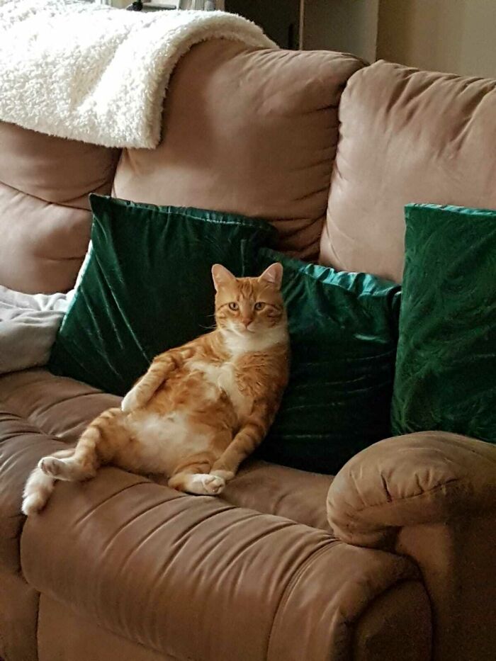 Hey Pandas, Share A Picture That Shows Pure Happiness (Closed) Hey Pandas, Share A Picture That Shows Pure Happiness (Closed)