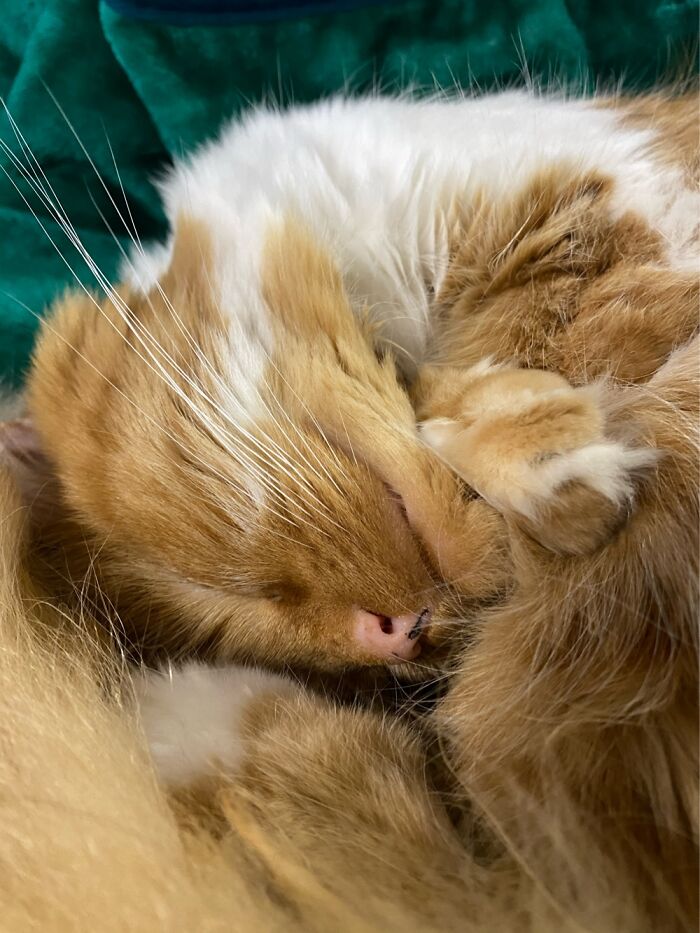 Hey Pandas, Share A Picture That Shows Pure Happiness (Closed) Hey Pandas, Share A Picture That Shows Pure Happiness (Closed)