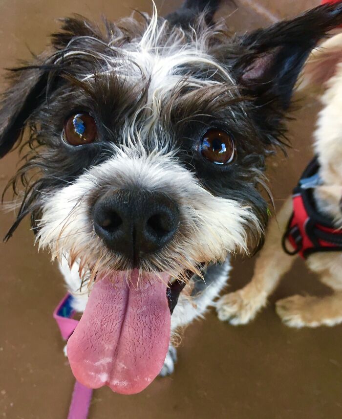 Hey Pandas, Share A Picture That Shows Pure Happiness (Closed) Hey Pandas, Share A Picture That Shows Pure Happiness (Closed)