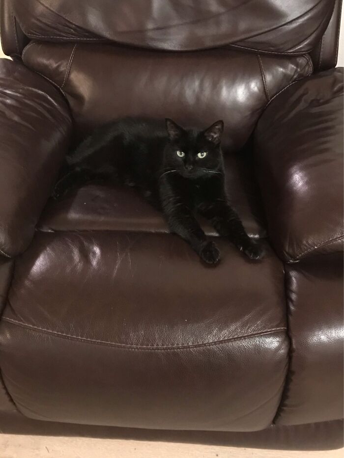 Hey Pandas, Share A Picture That Shows Pure Happiness (Closed) Hey Pandas, Share A Picture That Shows Pure Happiness (Closed)