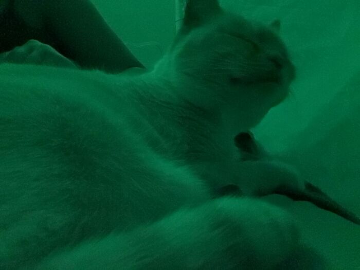 Hey Pandas, Share A Picture That Shows Pure Happiness (Closed) Hey Pandas, Share A Picture That Shows Pure Happiness (Closed)