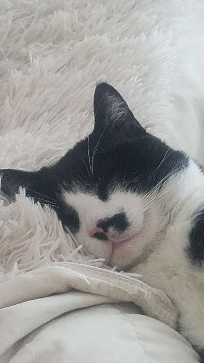 Hey Pandas, Share A Picture That Shows Pure Happiness (Closed) Hey Pandas, Share A Picture That Shows Pure Happiness (Closed)