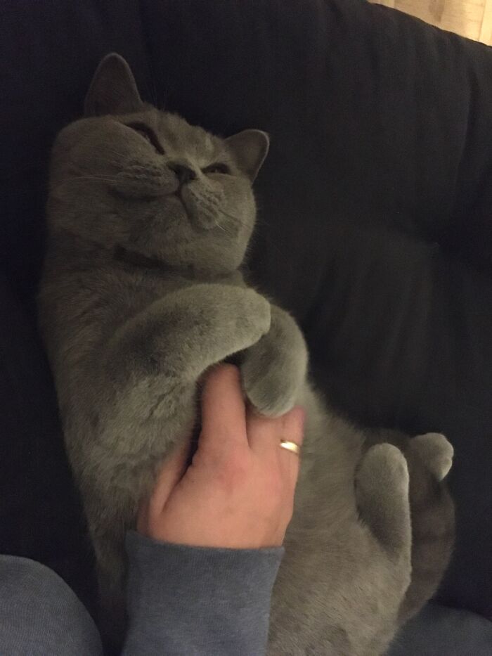 Hey Pandas, Share A Picture That Shows Pure Happiness (Closed) Hey Pandas, Share A Picture That Shows Pure Happiness (Closed)