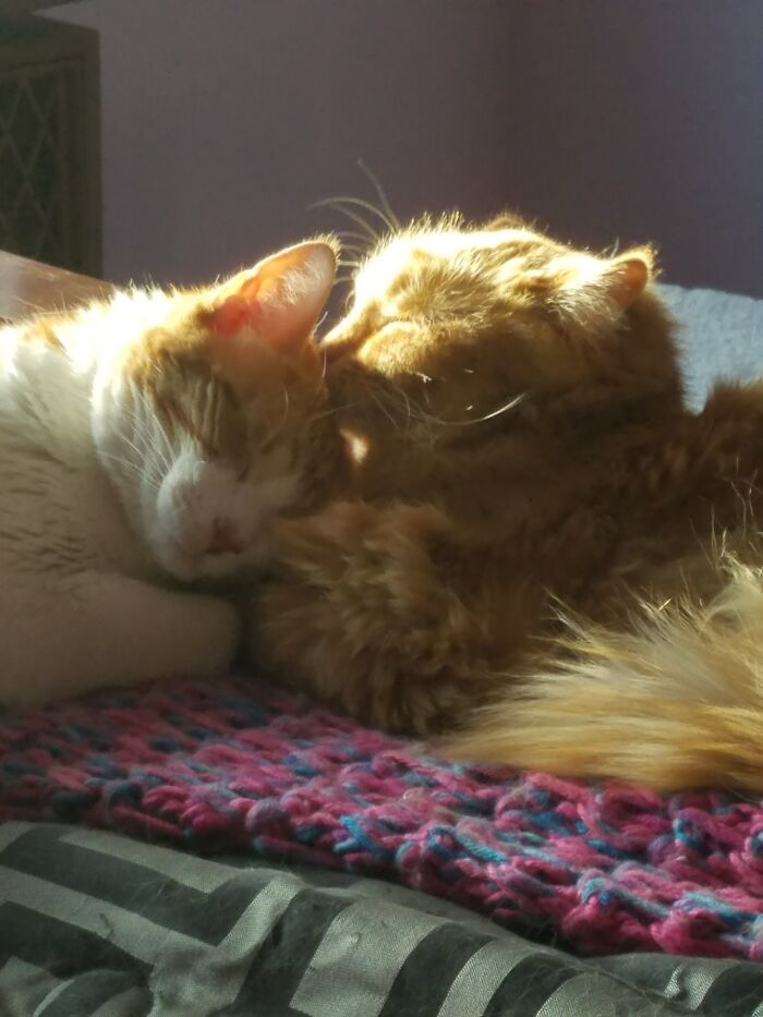 Hey Pandas, Share A Picture That Shows Pure Happiness (Closed) Hey Pandas, Share A Picture That Shows Pure Happiness (Closed)