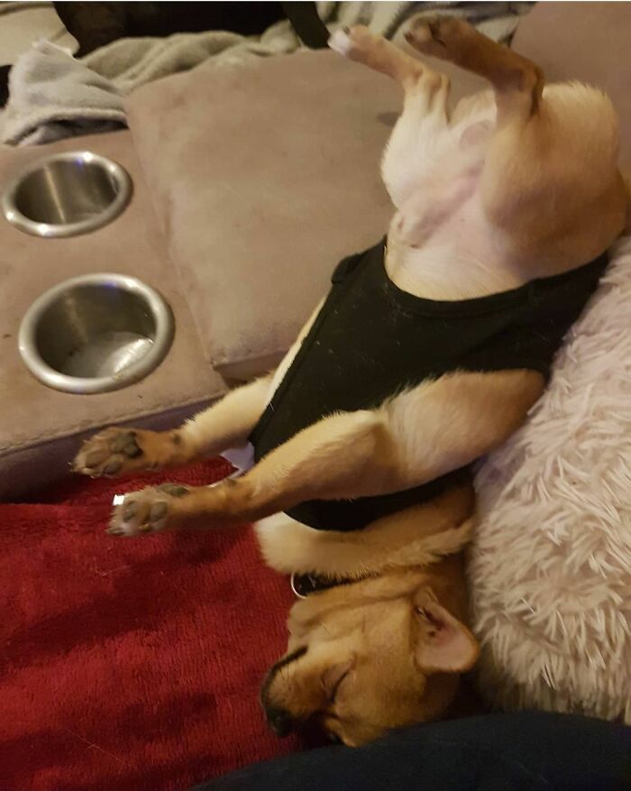 Hey Pandas, Share A Picture That Shows Pure Happiness (Closed) Hey Pandas, Share A Picture That Shows Pure Happiness (Closed)