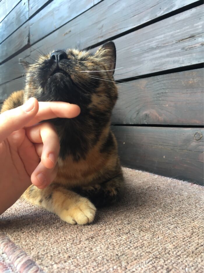 Hey Pandas, Share A Picture That Shows Pure Happiness (Closed) Hey Pandas, Share A Picture That Shows Pure Happiness (Closed)