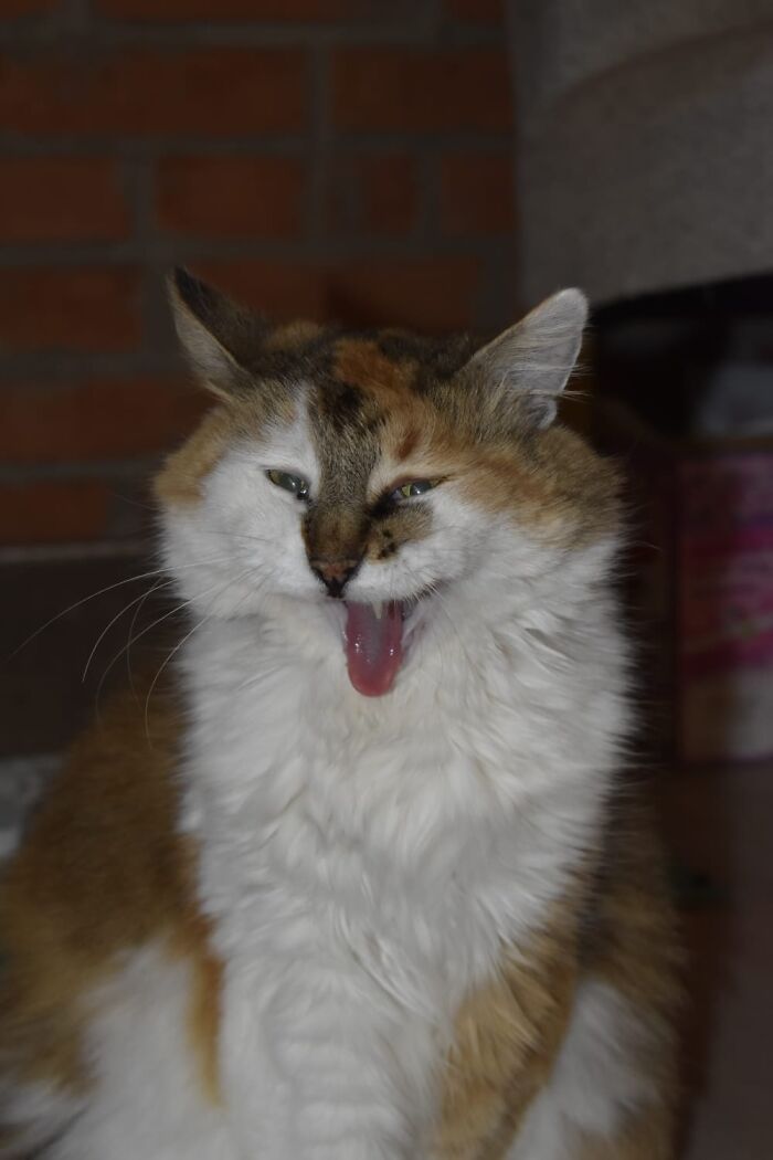 Hey Pandas, Share A Picture That Shows Pure Happiness (Closed) Hey Pandas, Share A Picture That Shows Pure Happiness (Closed)