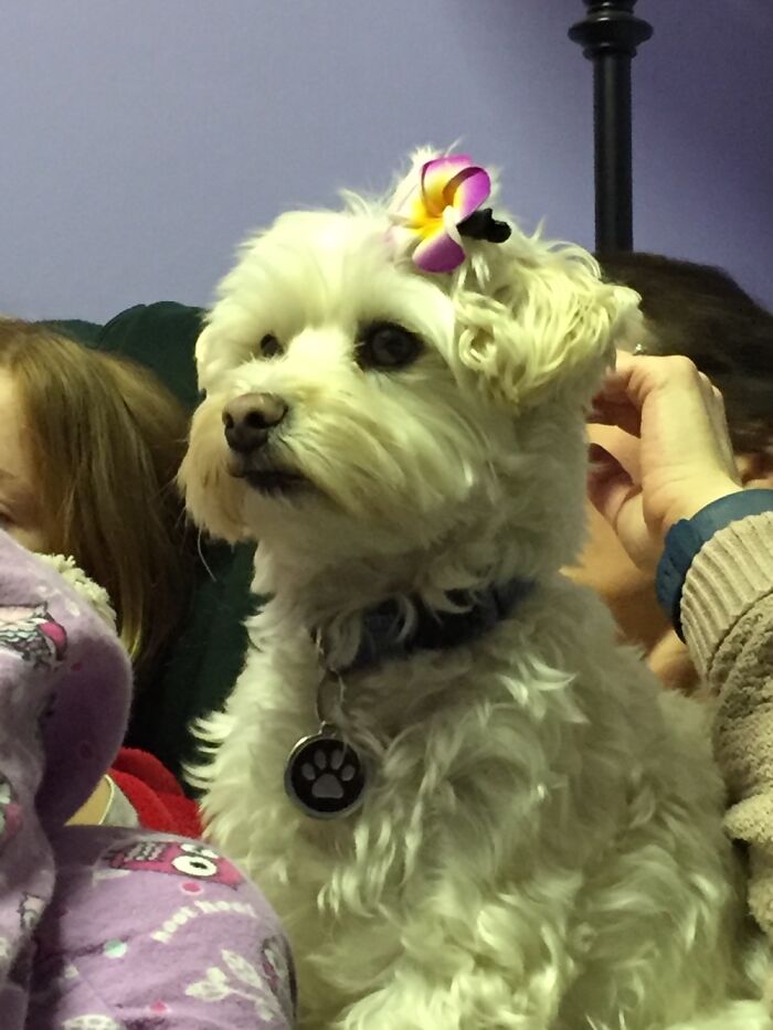 Hey Pandas, Share A Picture That Shows Pure Happiness (Closed) Hey Pandas, Share A Picture That Shows Pure Happiness (Closed)