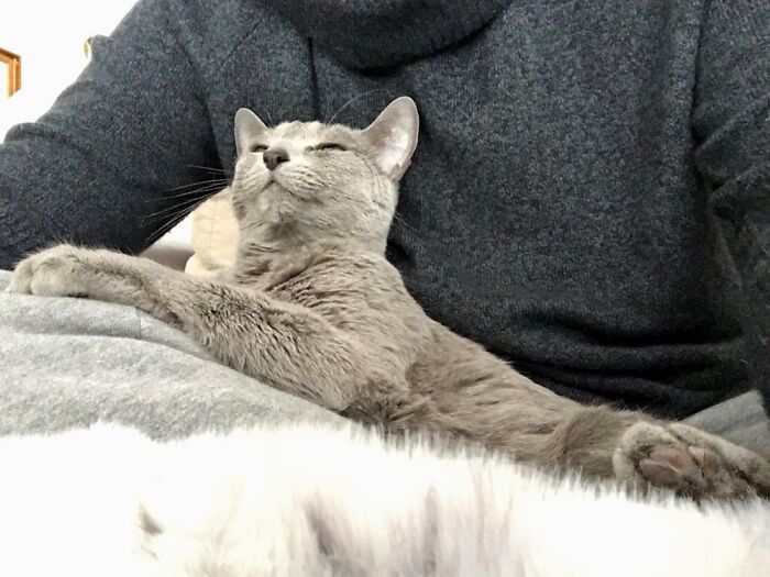 Hey Pandas, Share A Picture That Shows Pure Happiness (Closed) Hey Pandas, Share A Picture That Shows Pure Happiness (Closed)