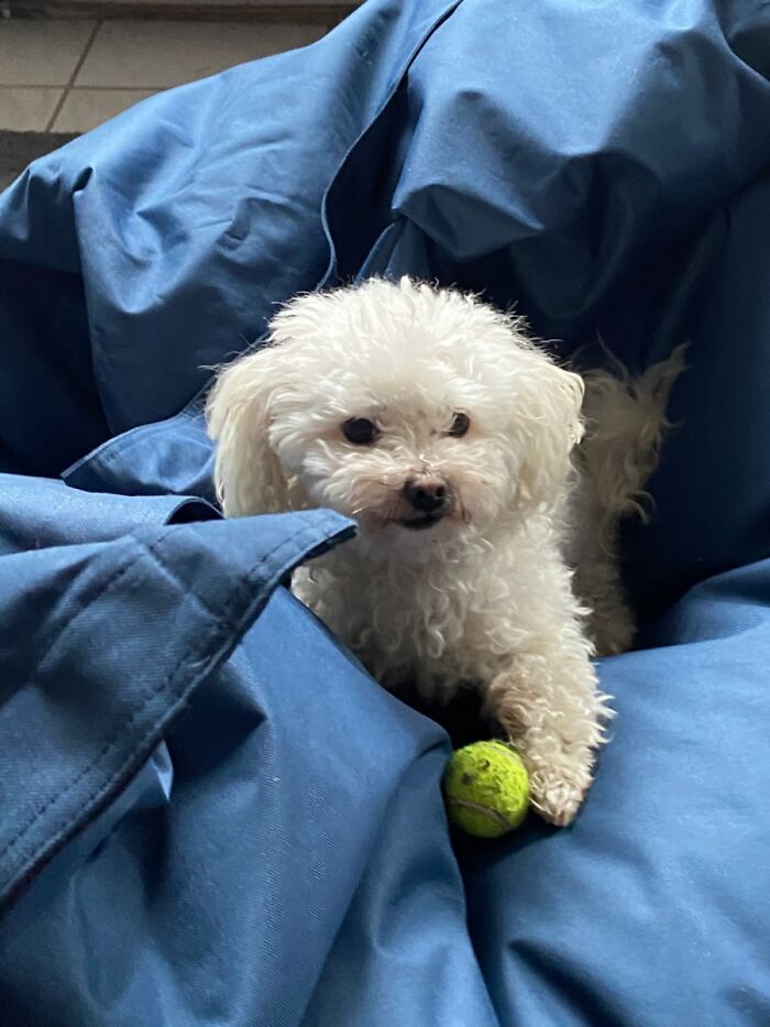 Hey Pandas, Share A Picture That Shows Pure Happiness (Closed) Hey Pandas, Share A Picture That Shows Pure Happiness (Closed)