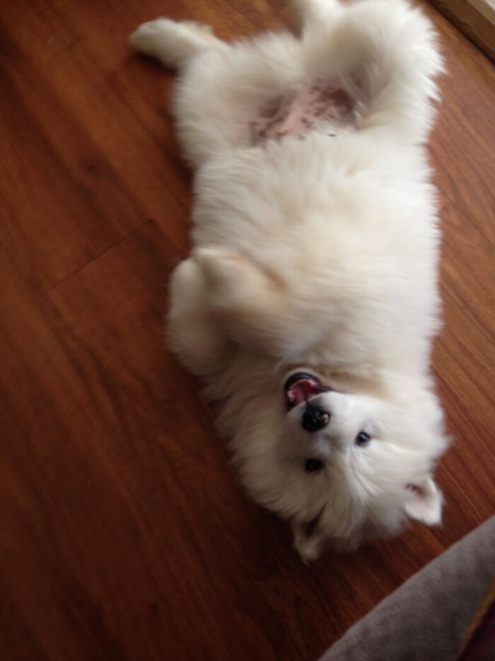 Hey Pandas, Share A Picture That Shows Pure Happiness (Closed) Hey Pandas, Share A Picture That Shows Pure Happiness (Closed)