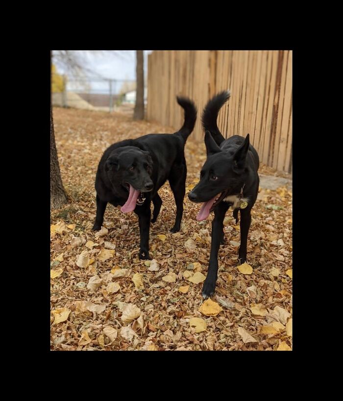 Hey Pandas, Share A Picture That Shows Pure Happiness (Closed) Hey Pandas, Share A Picture That Shows Pure Happiness (Closed)