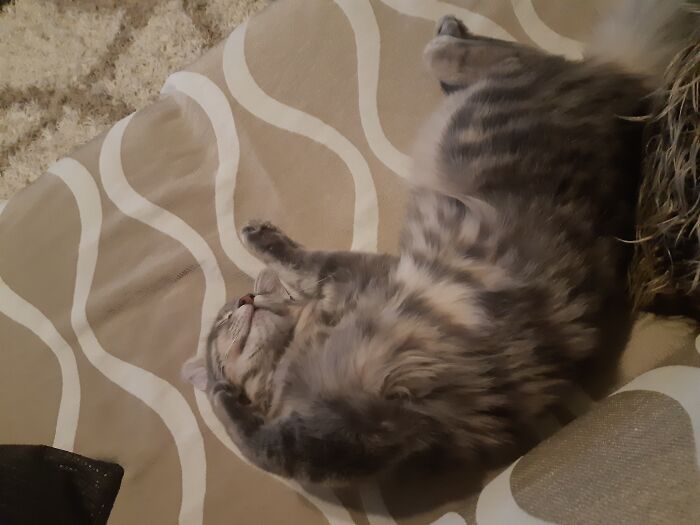 Hey Pandas, Share A Picture That Shows Pure Happiness (Closed) Hey Pandas, Share A Picture That Shows Pure Happiness (Closed)