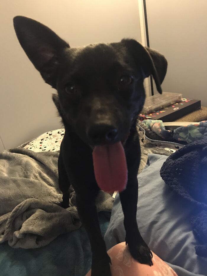 Hey Pandas, Share A Picture That Shows Pure Happiness (Closed) Hey Pandas, Share A Picture That Shows Pure Happiness (Closed)