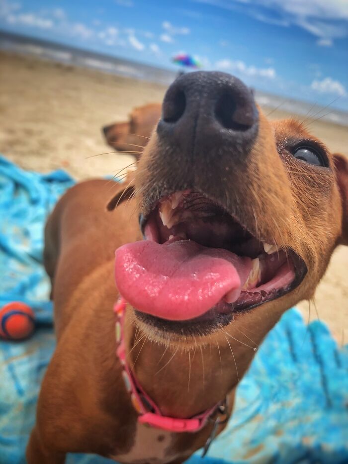 Hey Pandas, Share A Picture That Shows Pure Happiness (Closed) Hey Pandas, Share A Picture That Shows Pure Happiness (Closed)