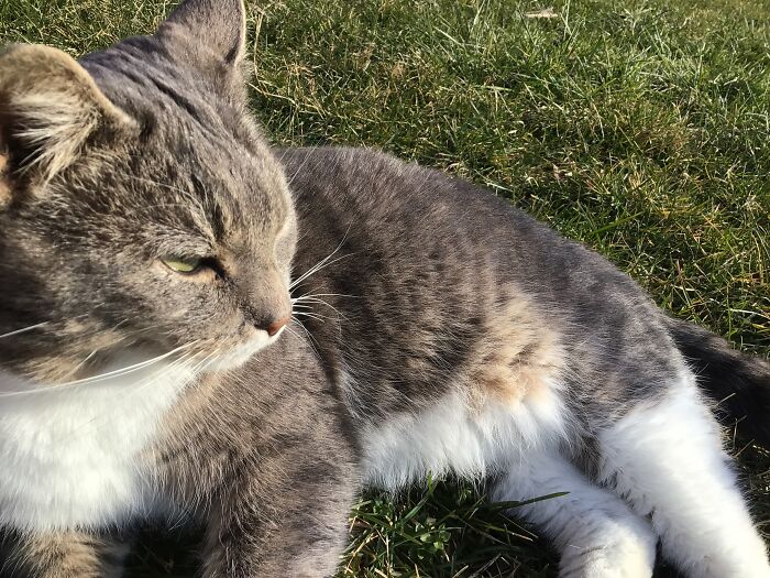 Hey Pandas, Share A Picture That Shows Pure Happiness (Closed) Hey Pandas, Share A Picture That Shows Pure Happiness (Closed)