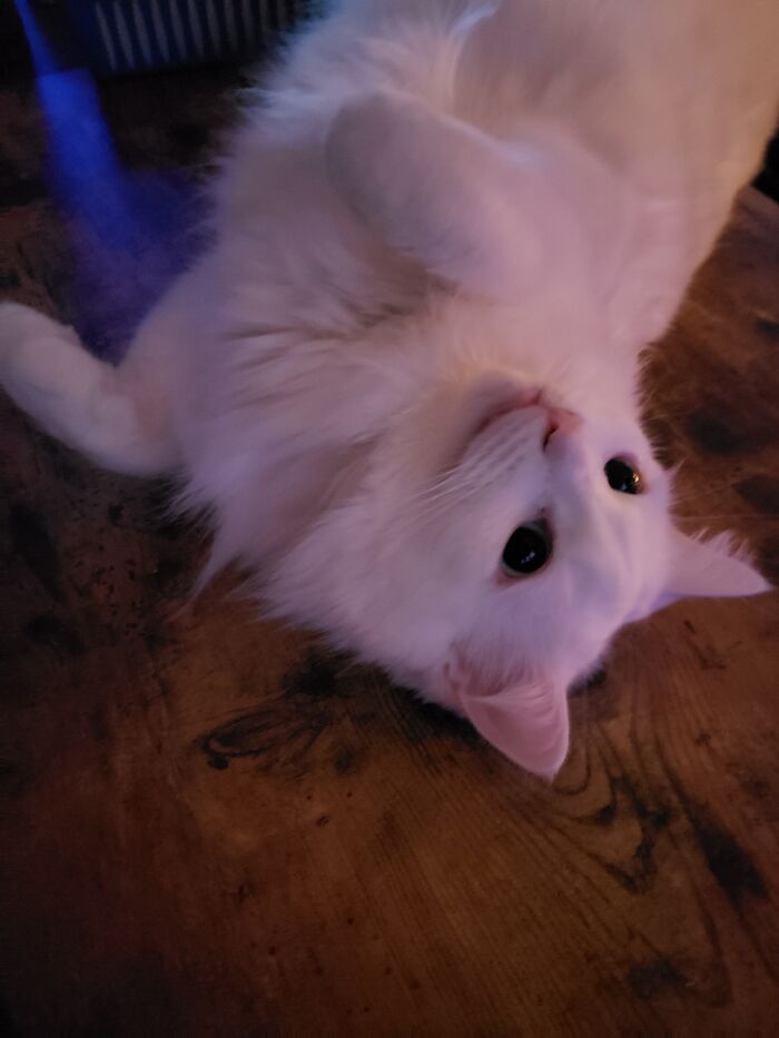 Hey Pandas, Share A Picture That Shows Pure Happiness (Closed) Hey Pandas, Share A Picture That Shows Pure Happiness (Closed)