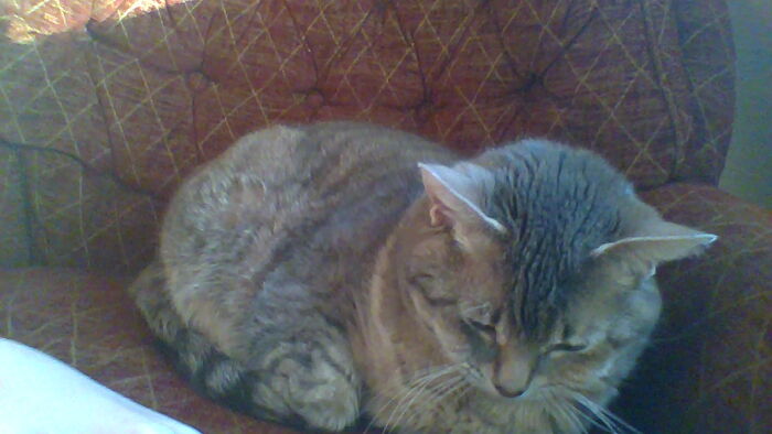 Hey Pandas, Share A Picture That Shows Pure Happiness (Closed) Hey Pandas, Share A Picture That Shows Pure Happiness (Closed)