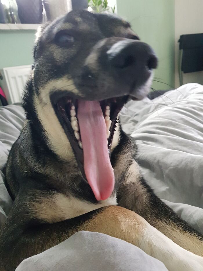 Hey Pandas, Share A Picture That Shows Pure Happiness (Closed) Hey Pandas, Share A Picture That Shows Pure Happiness (Closed)