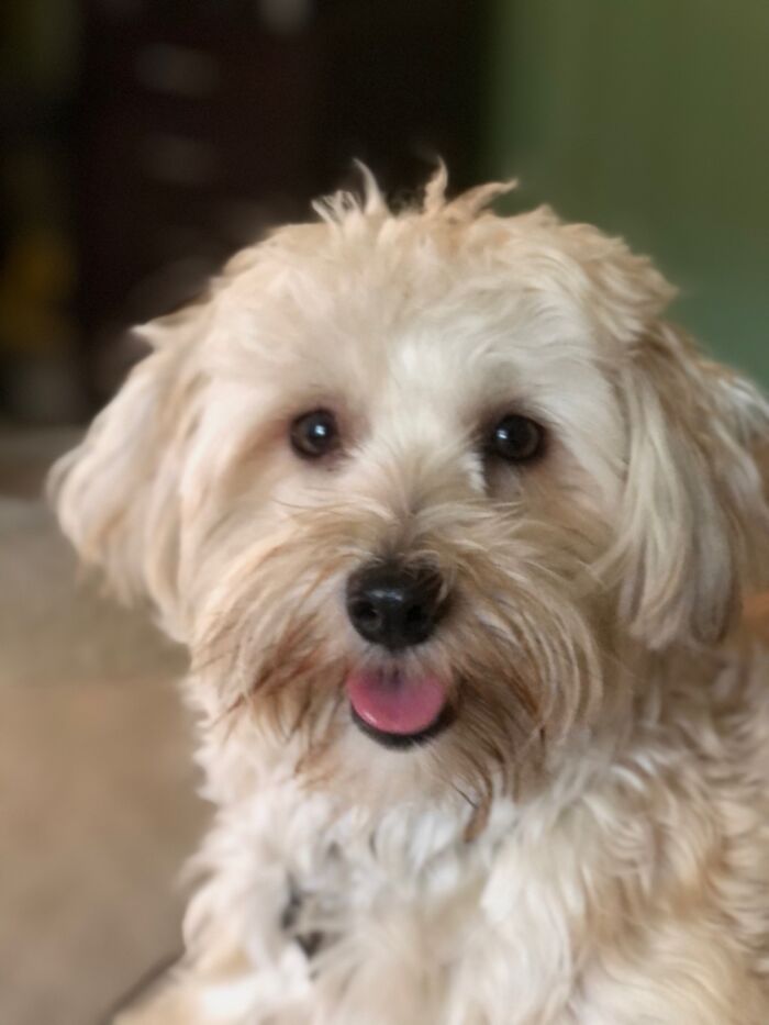 Hey Pandas, Share A Picture That Shows Pure Happiness (Closed) Hey Pandas, Share A Picture That Shows Pure Happiness (Closed)