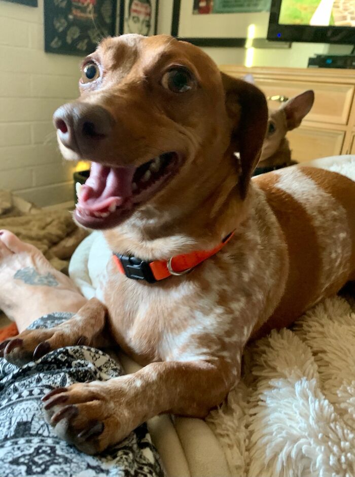 Hey Pandas, Share A Picture That Shows Pure Happiness (Closed) Hey Pandas, Share A Picture That Shows Pure Happiness (Closed)