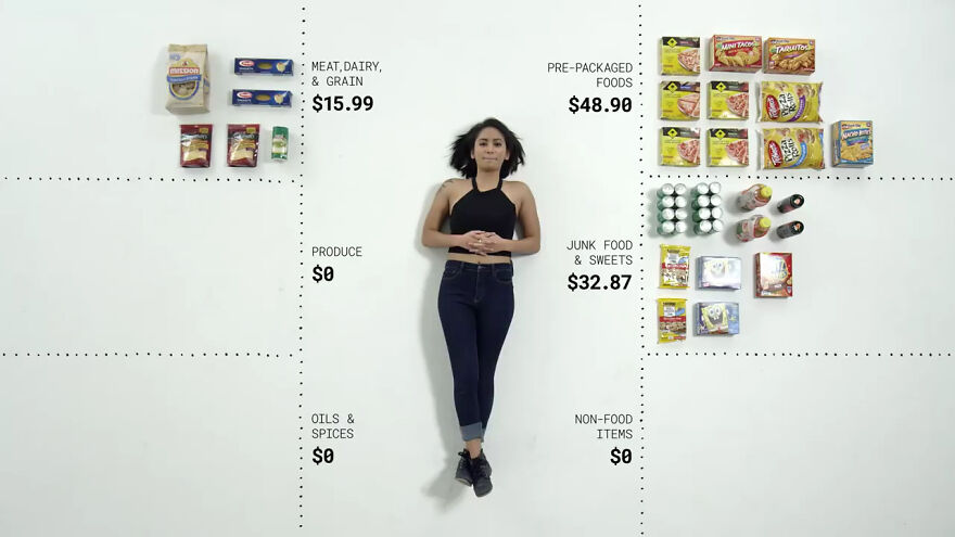 People From Different Households Were Given $100 To Spend On Groceries, Here’s What They Bought People From Different Households Were Given $100 To Spend On Groceries, Here’s What They Bought