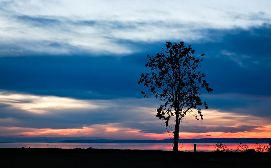 I Stopped To Take A Picture At Lake Balaton On The First Day Of 2021, And It Was Worth It
