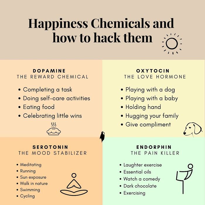 Here’s A Guide On 4 Happiness Chemicals And How To Activate Them Here’s A Guide On 4 Happiness Chemicals And How To Activate Them