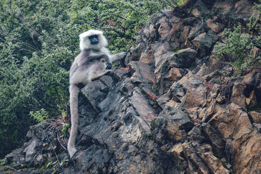 I Have Traveled To The Kingdom Of Bhutan Otherwise Known As The Land Of Happiness (36 Pics) I Have Traveled To The Kingdom Of Bhutan Otherwise Known As The Land Of Happiness (36 Pics)